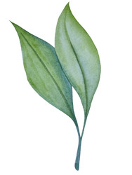 Similar image 22223076