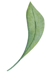 Similar image 22223078