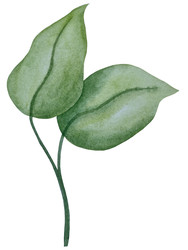 Similar image 22223079