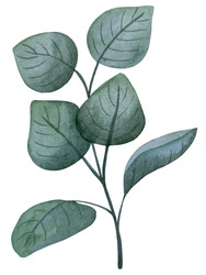 Similar image 22223081