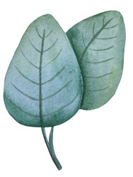 Similar image 22223083