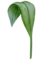 Similar image 22223084