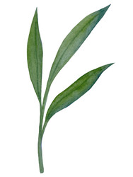 Similar image 22223086