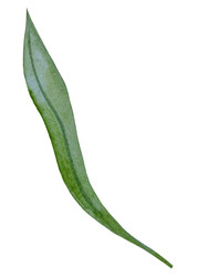 Similar image 22223087