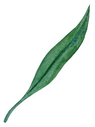 Similar image 22223088