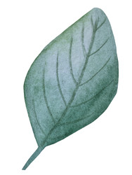 Similar image 22223089