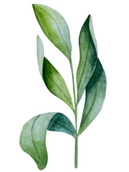 Similar image 22223090