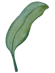 Similar image 22223091