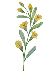 Similar image 22223092