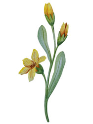 Similar image 22223093