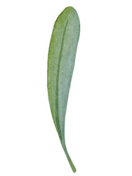 Similar image 22223094