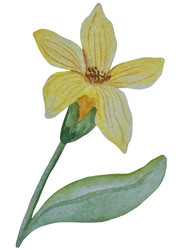 Similar image 22223095