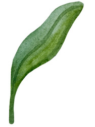 Similar image 22223096