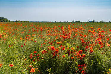 Similar image 22222841