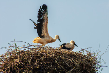 Similar image 22222845