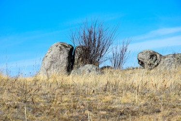 Similar image 22223171