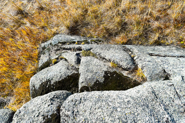 Similar image 22223175