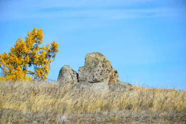 Similar image 22223178