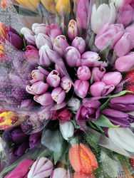 Similar image 22225903