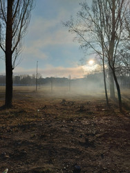 Similar image 22225905