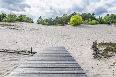 Similar image 22233229