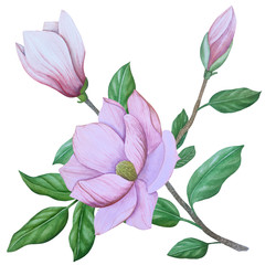 Similar image 22229145