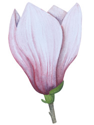 Similar image 22229148