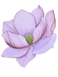 Similar image 22229150