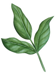 Similar image 22229152