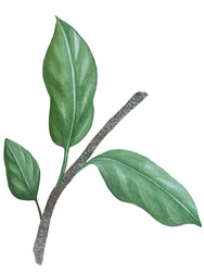 Similar image 22229153