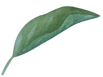 Similar image 22229154