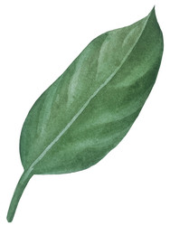 Similar image 22229155