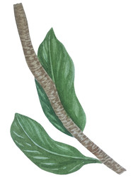 Similar image 22229159