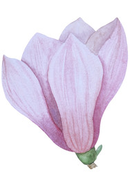 Similar image 22229160