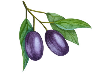 Similar image 22229173