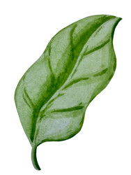 Similar image 22229175