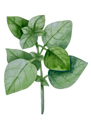 Similar image 22229180