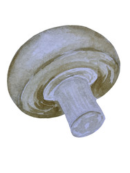 Similar image 22228114