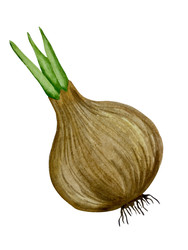 Similar image 22228117