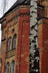 Similar image 22223935