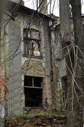 Similar image 22223938