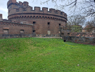 Similar image 22223942