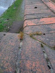 Similar image 22223943