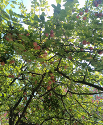 Similar image 22222945