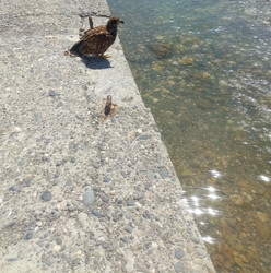 Similar image 22222948