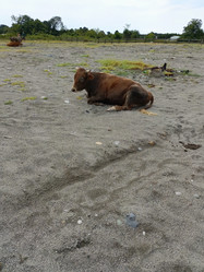 Similar image 22222954