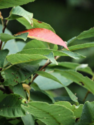 Similar image 22222591