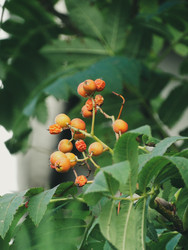 Similar image 22222592