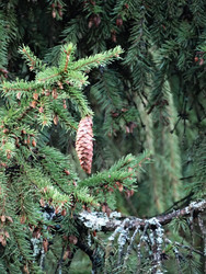 Similar image 22222593