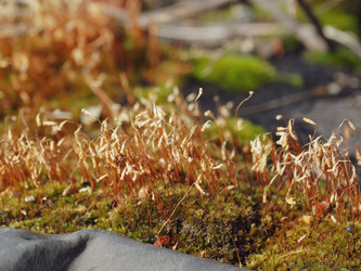 Similar image 22222594